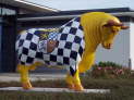 Stier- Supremo, Pirmasens